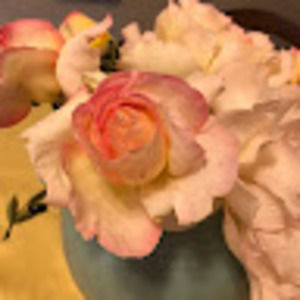 Meet your Posher, Kathy